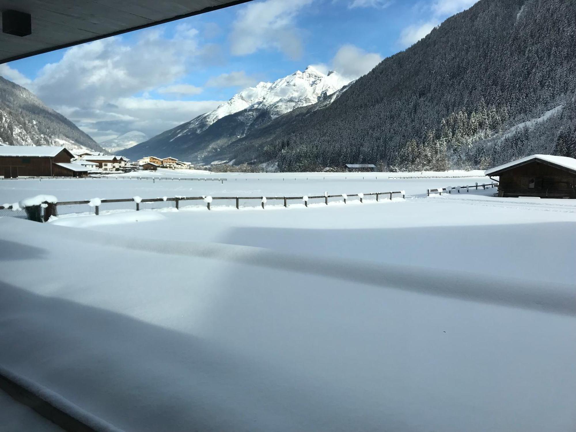 Apartment Mountainview Neustift im Stubaital Kültér fotó