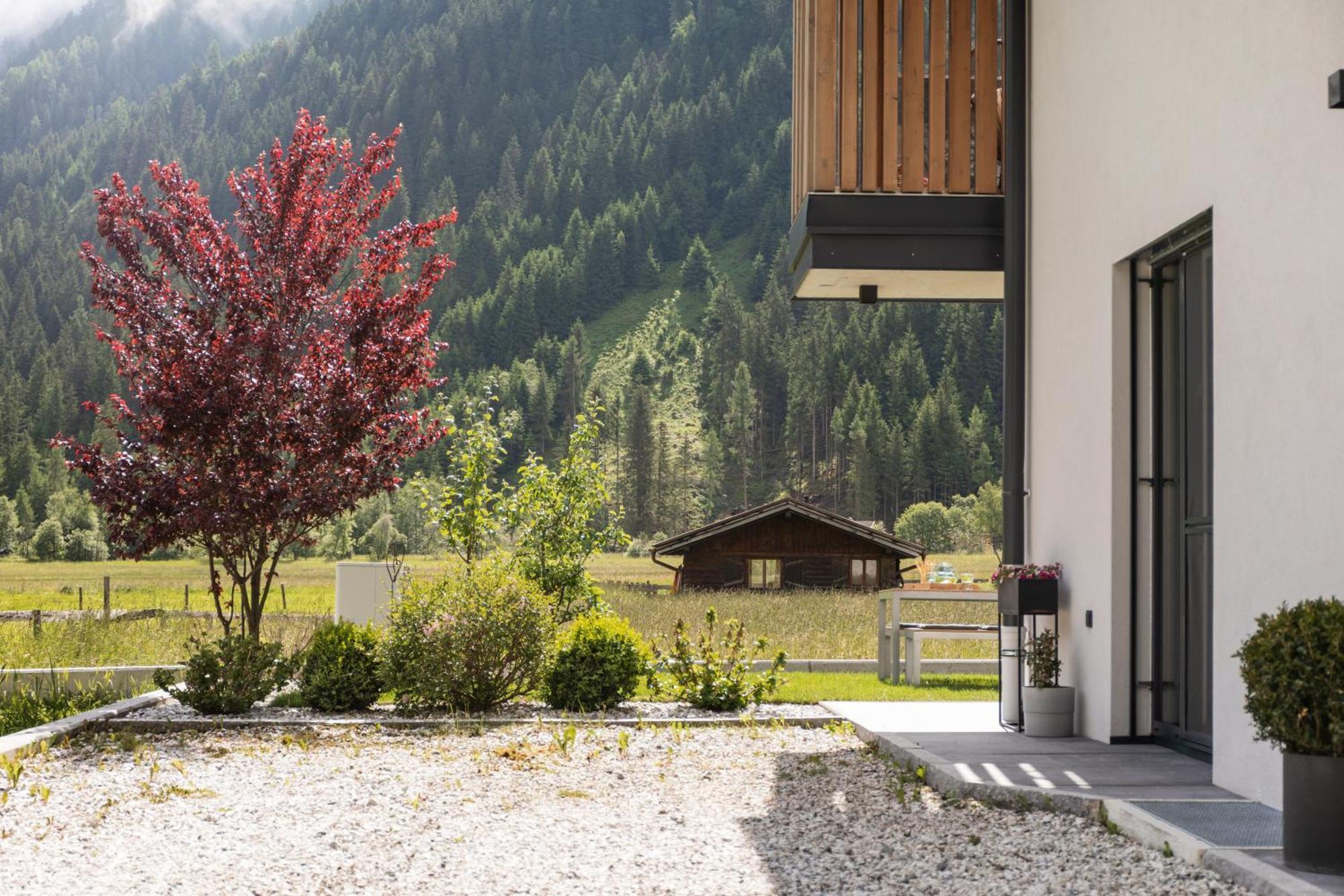 Apartment Mountainview Neustift im Stubaital Kültér fotó